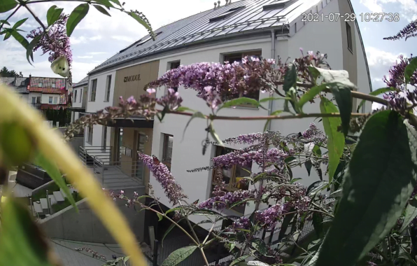 Przyroda też zagląda jak idzie budowa